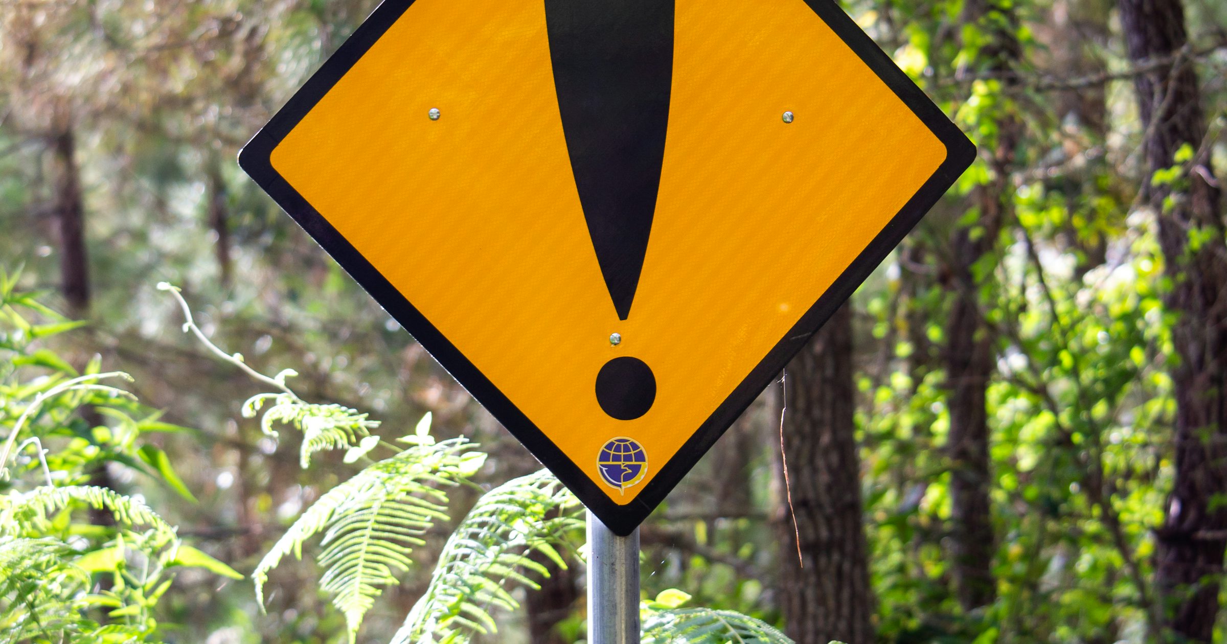 Beginner's Must-Avoid Mistakes: Using Backtest Results for Earnings & Intraday Trading